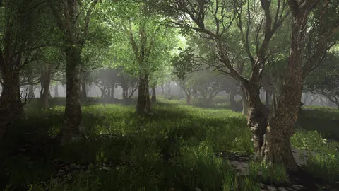 Forest