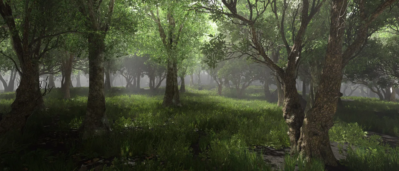 Forest