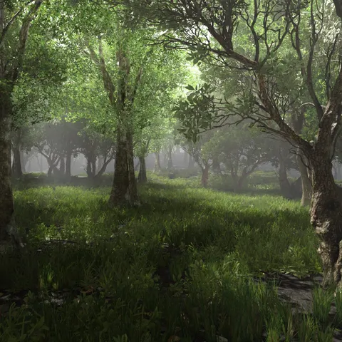 Forest