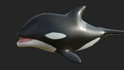 Killer? whale