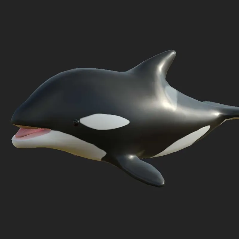 Killer? whale