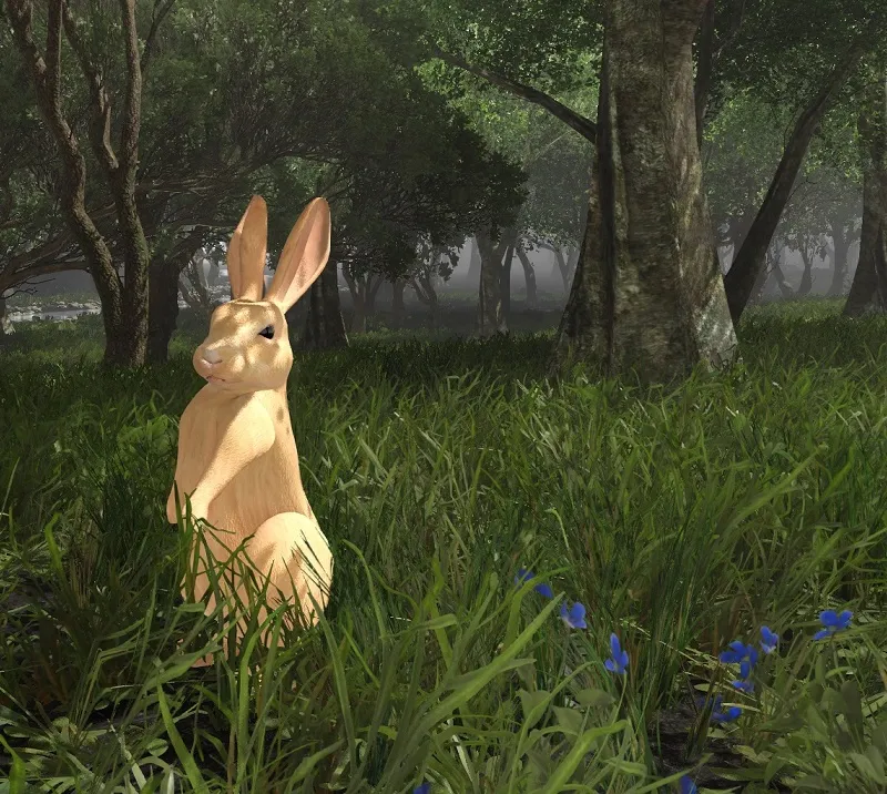 Rabbit