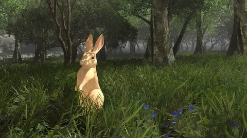 Rabbit