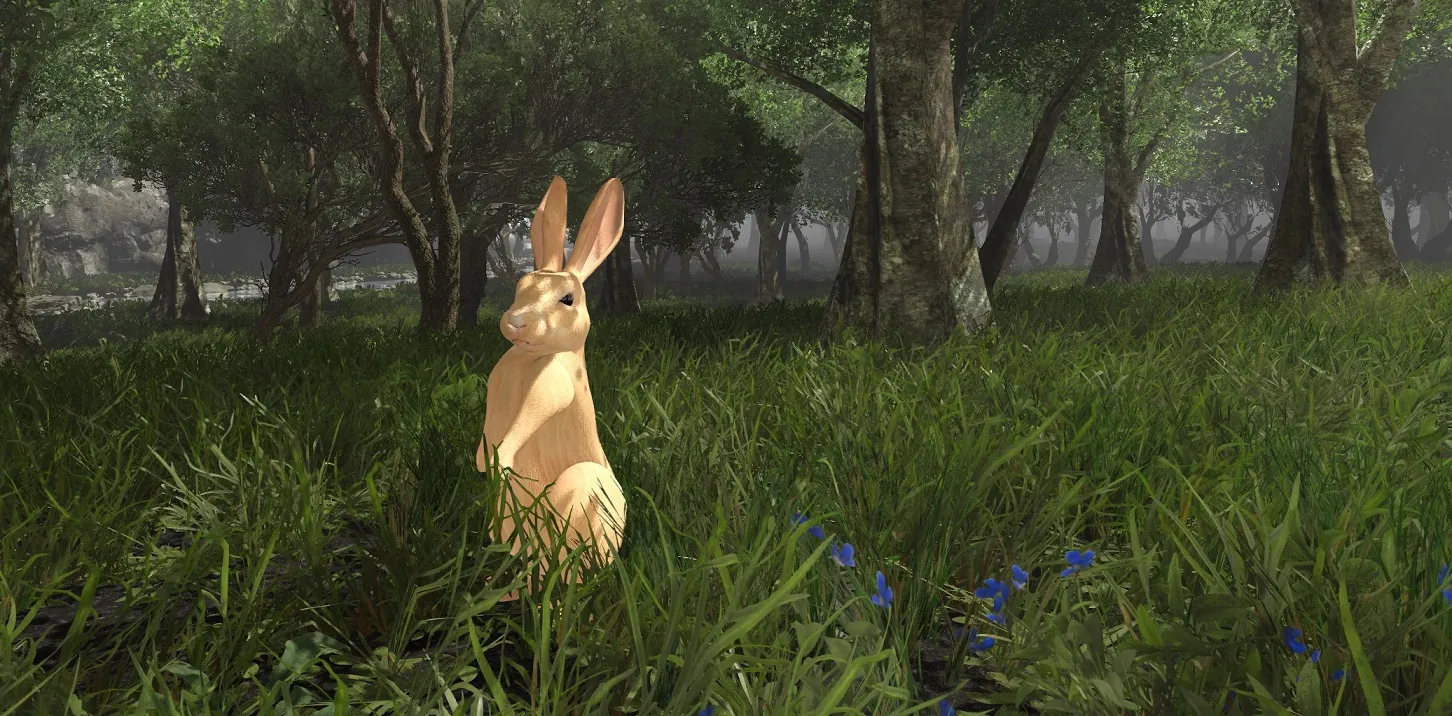 Rabbit
