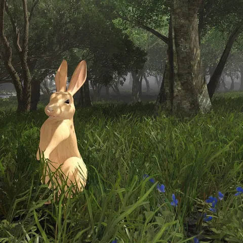 Rabbit